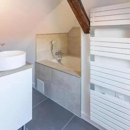 아파트 Magnifique Duplex Climatise De 40m² 낭시