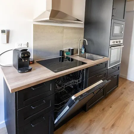 Magnifique Duplex Climatise De 40m² * 南锡