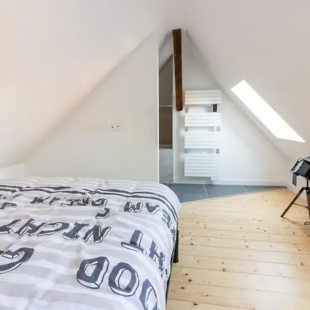 公寓 Magnifique Duplex Climatise De 40m² 南锡