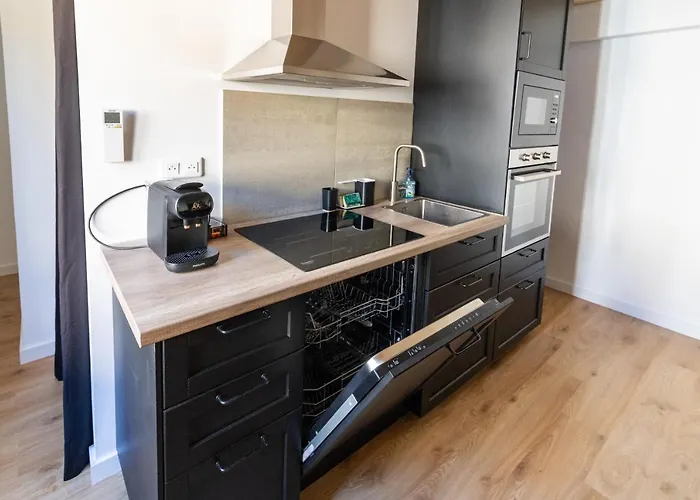 Magnifique Duplex Climatise De 40m² * Нанси