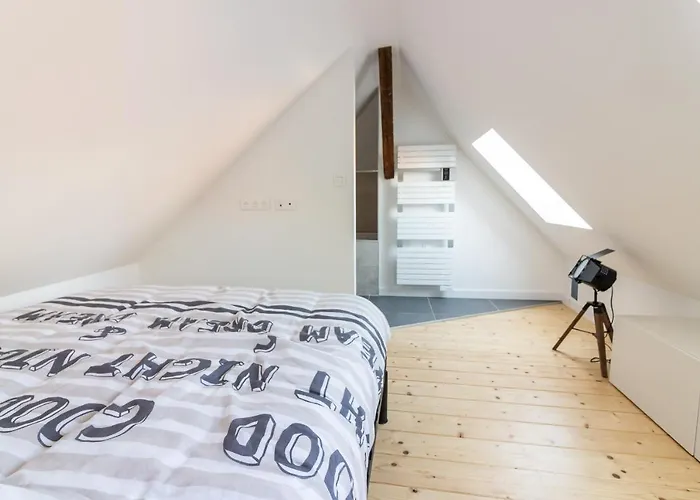 Апартаменты Magnifique Duplex Climatise De 40m² Нанси